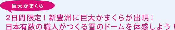 巨大かまくら 2日間限定!新豊洲に巨大かまくらが出現!日本有数の職人がつくる雪のドームを体感しよう!