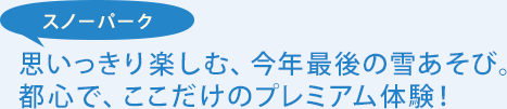 スノーパーク 思いっきり楽しむ、今年最後の雪あそび。都心で、ここだけのプレミアム体験!